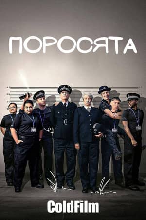 Постер Поросята