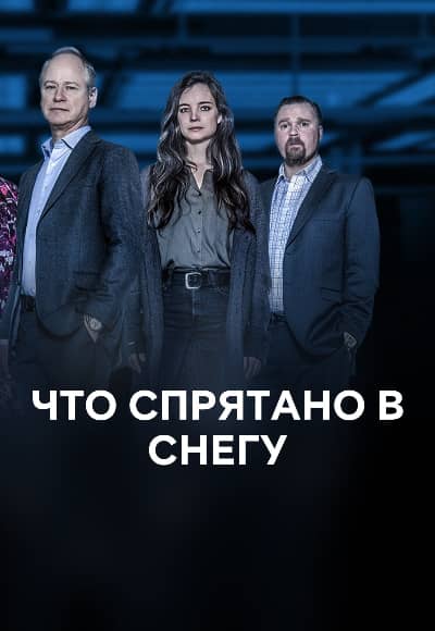 Постер Что спрятано в снегу