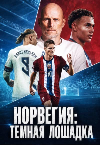 Постер Норвегия: Темная лошадка